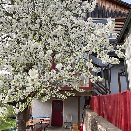 Obertraum Appartement Und Ferienwohnung Solnhofen Exterior foto